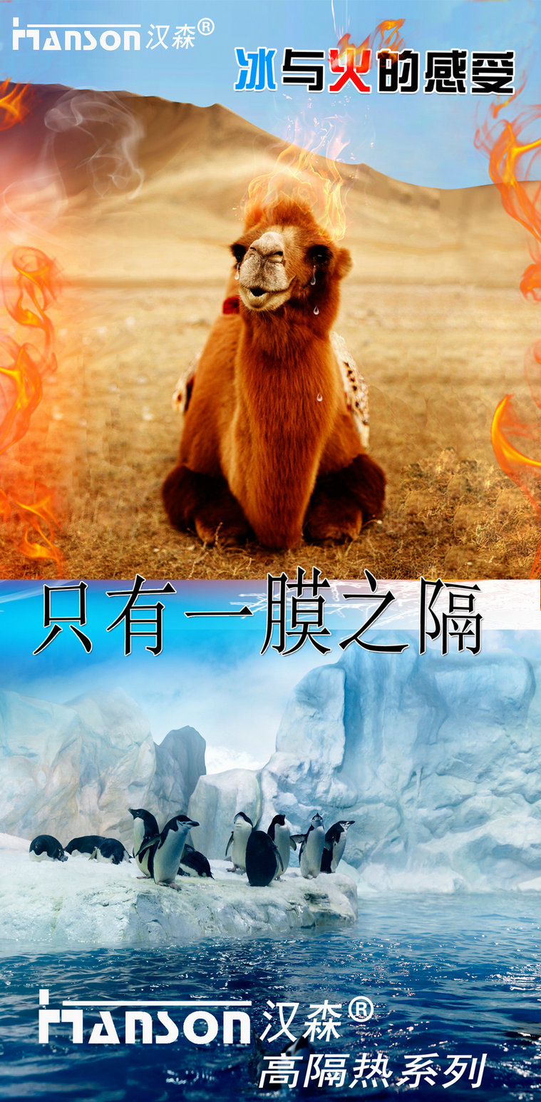 汽车膜宣传物资